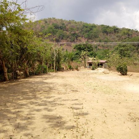 Wli Waterfalls Inn Wli Afegame Bagian luar foto