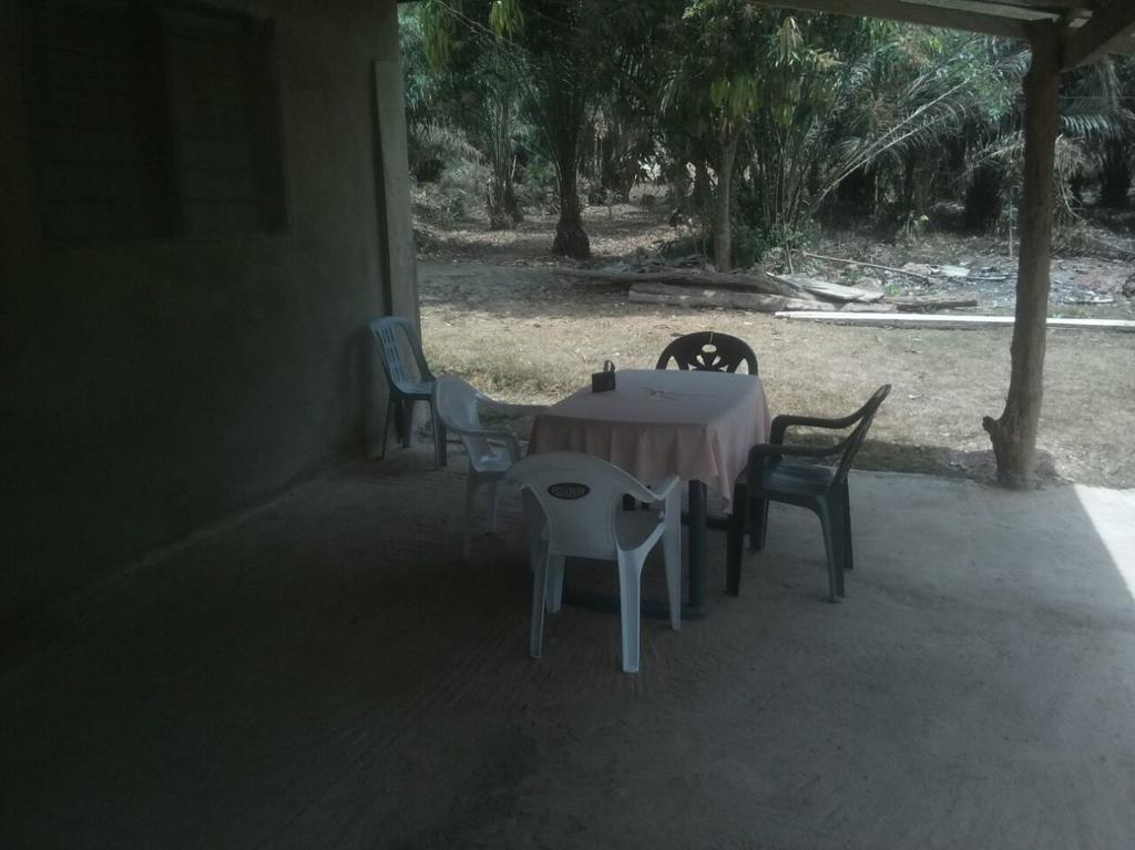 Wli Waterfalls Inn Wli Afegame Bagian luar foto