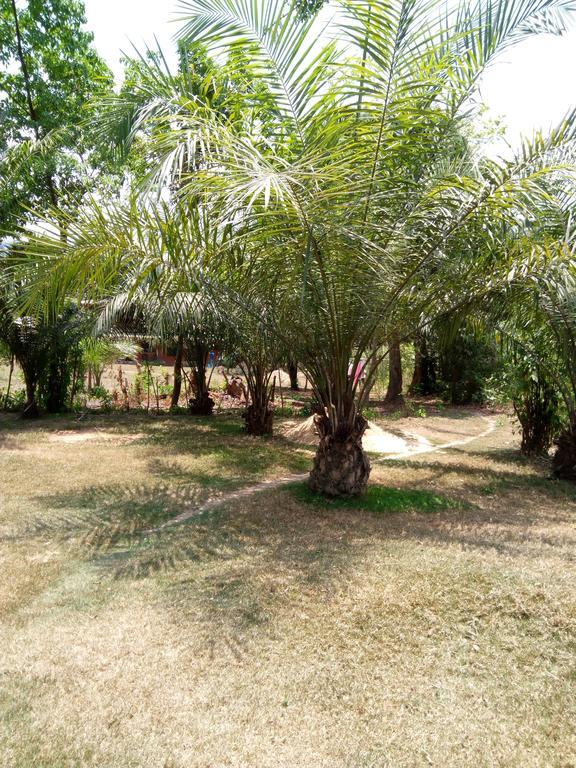 Wli Waterfalls Inn Wli Afegame Bagian luar foto
