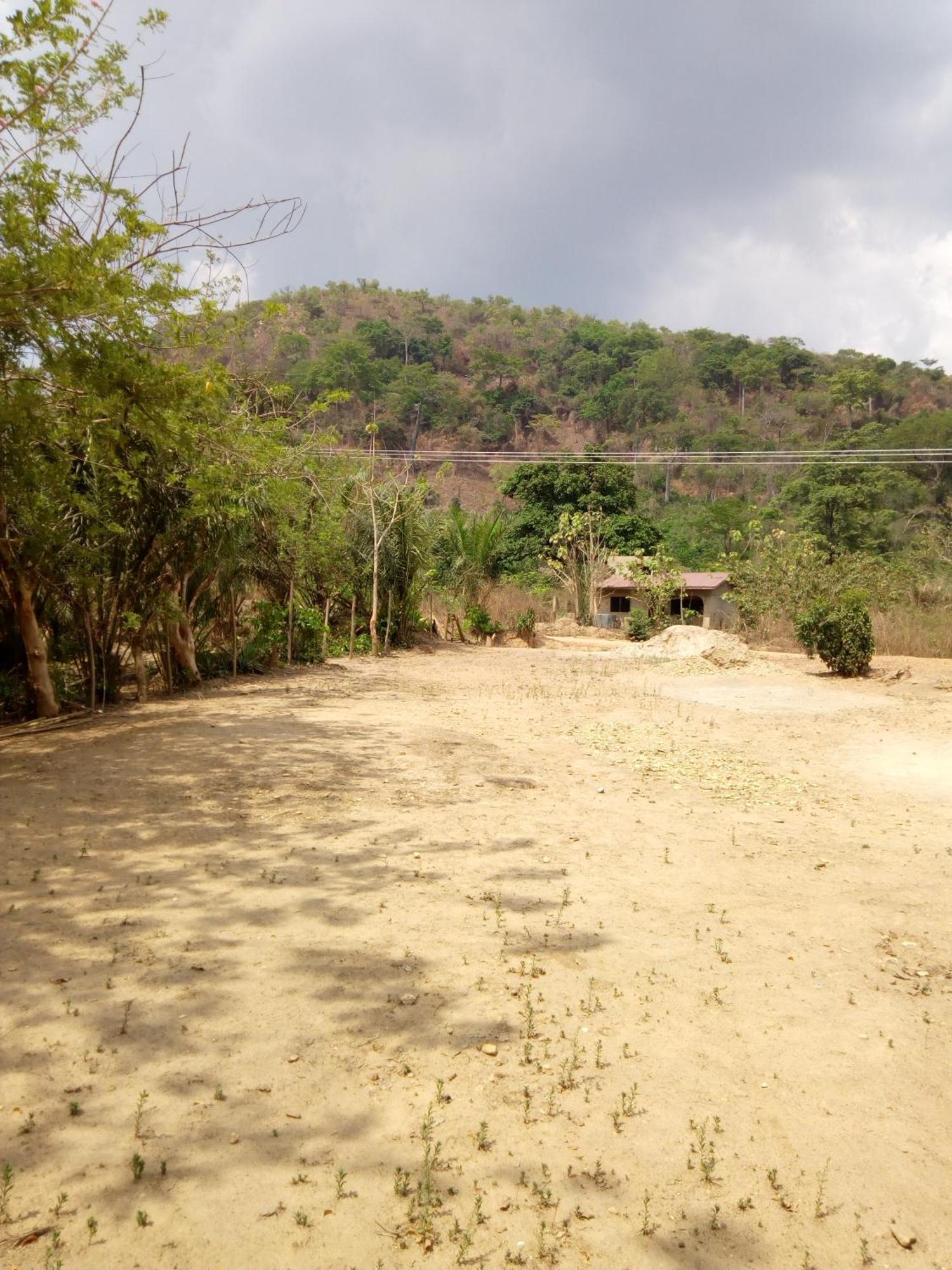 Wli Waterfalls Inn Wli Afegame Bagian luar foto