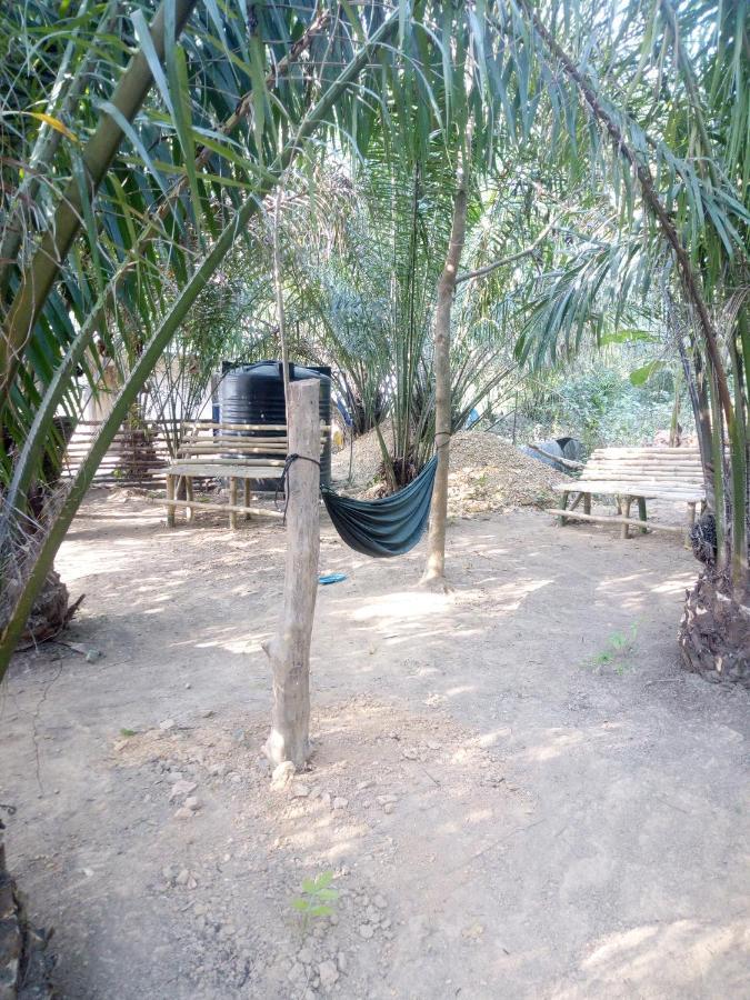 Wli Waterfalls Inn Wli Afegame Bagian luar foto
